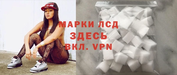 ГАЛЛЮЦИНОГЕННЫЕ ГРИБЫ Верея