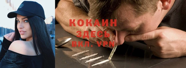 ГАЛЛЮЦИНОГЕННЫЕ ГРИБЫ Верея