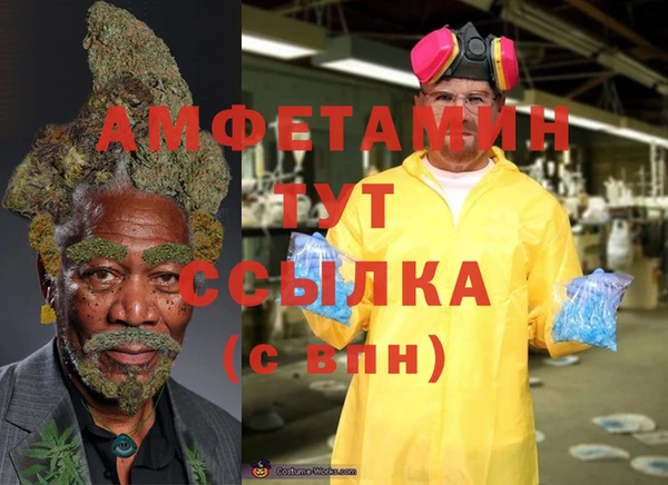 молекула духа Волоколамск