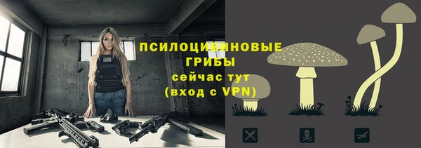 ГАЛЛЮЦИНОГЕННЫЕ ГРИБЫ Верея