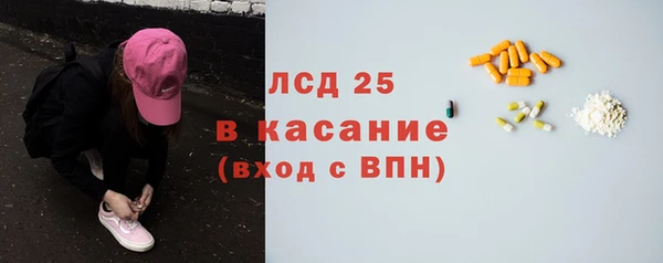 ГАЛЛЮЦИНОГЕННЫЕ ГРИБЫ Верея