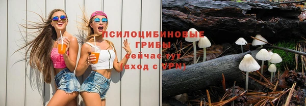 молекула духа Волоколамск