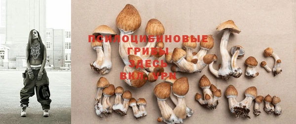 ГАЛЛЮЦИНОГЕННЫЕ ГРИБЫ Верея