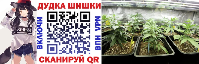 shop телеграм  Волжск  Шишки марихуана White Widow 